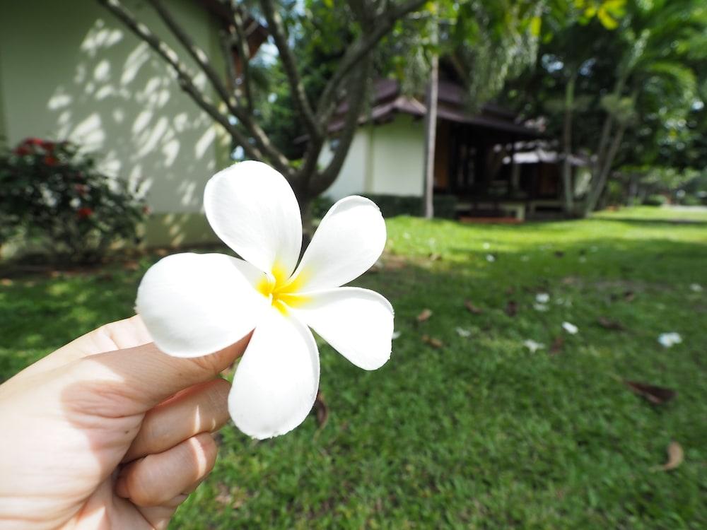 Baan Pun Sook Resort Csaulau-part Kültér fotó