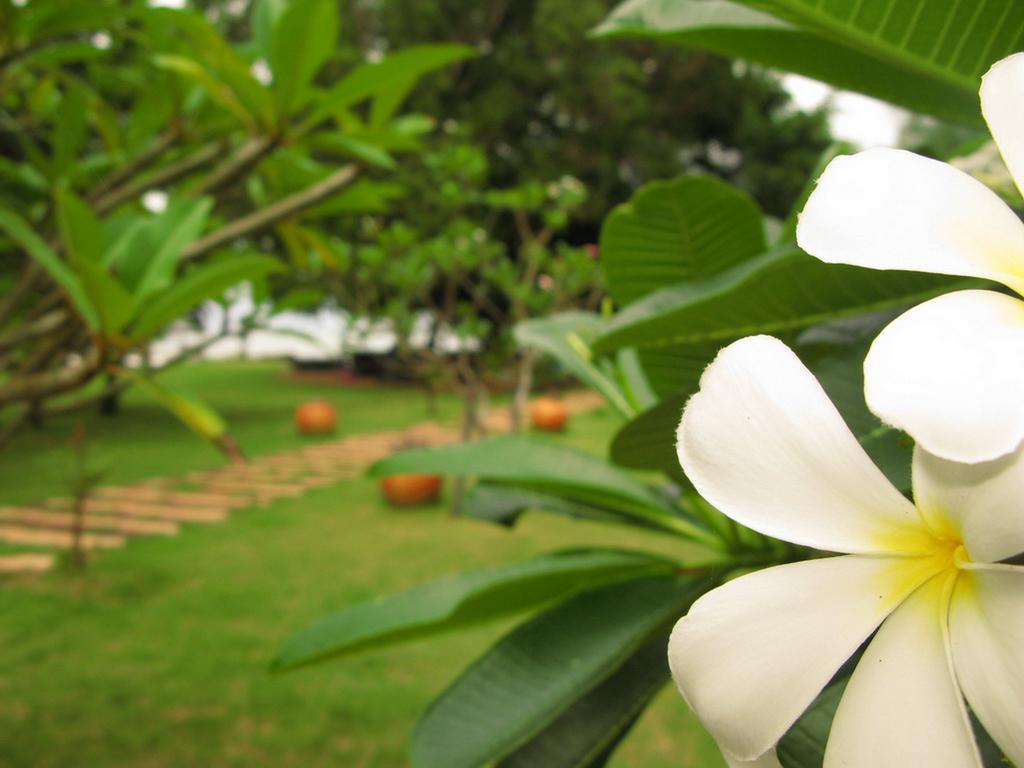 Baan Pun Sook Resort Csaulau-part Kültér fotó